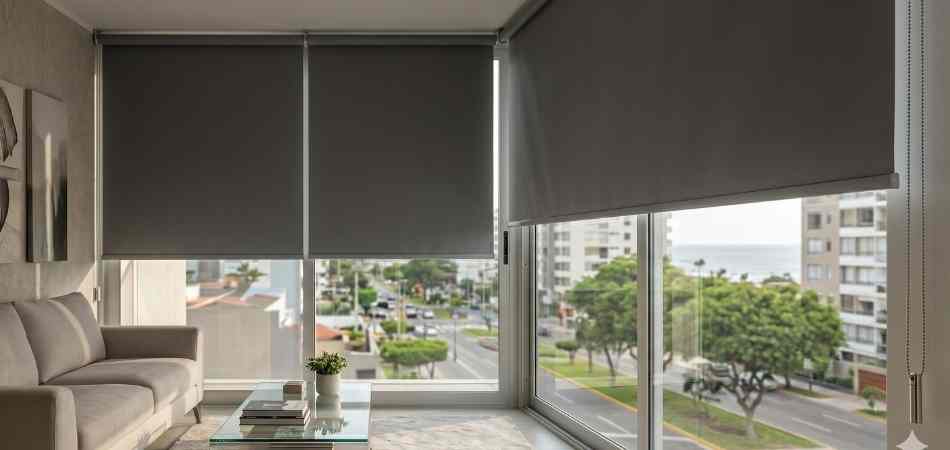 Cortinas Roller Black out